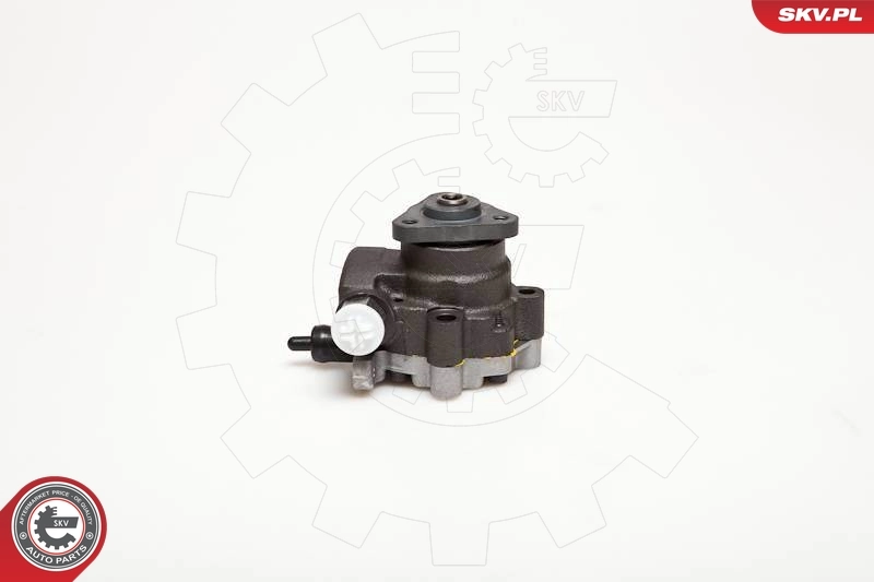 Hydraulic Pump, steering